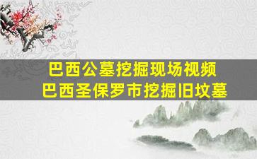 巴西公墓挖掘现场视频 巴西圣保罗市挖掘旧坟墓